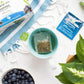 Organic Moringa Tea - Blueberry - Caffeine-Free Herbal Tea