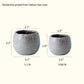 Crackle Glazed Succulent Pot Randomly Picked Set of 5