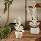 Realistic Green Plant in Ceramic Pot