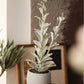Realistic Green Plant in Ceramic Pot