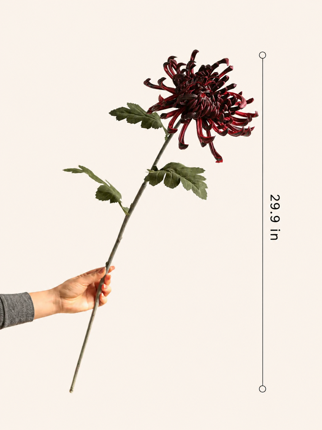 Tallo de crisantemo araña Heirloom – 29.9"