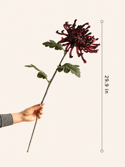 Tallo de crisantemo araña Heirloom – 29.9"