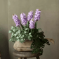 Spring Artificial Hyacinth Stem 16" Tall