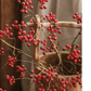 Mini Fruit Berry Stem 30" Tall