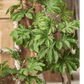 Artificial Octagonal Foliage Branch 37.4" Tall
