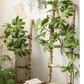 Artificial Octagonal Foliage Branch 37.4" Tall