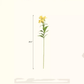 Artificial Peruvian Lily Stem 29.5" Tall