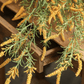 Artificial Large Rosemary Stem 49" Tall