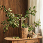 Old-fashioned Wooden Round Bucket