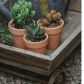 Small Decorative Wooden Wagon Flower Cart