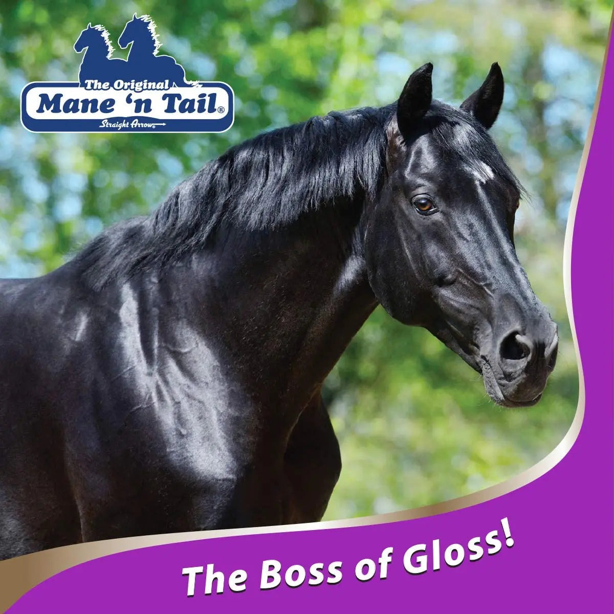 Mane 'n Tail Ultimate Gloss Horse Conditioner Gentle Formula 32oz
