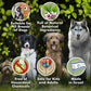 Medicated Dog Shampoo Anti Itch & Yeast Hot Spot Skin Relief 13.5oz