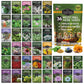 Medicinal Herb Garden - 36 Heirloom Seed Varieties for a Wellness Garden