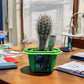Sully 'The Desert King' Giant Saguaro Micro Dome Terrarium