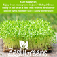 Organic Variety Pack Microgreens Seeds