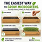 Microgreens Growing Kit Self Watering