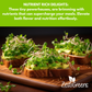 Organic Variety Pack Microgreens Seeds