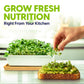 Ceramic Microgreens Growing Kit to Grow 3 Crops Including Organic USDA Sunflower, Melon & Mixed Microgreens Seeds.