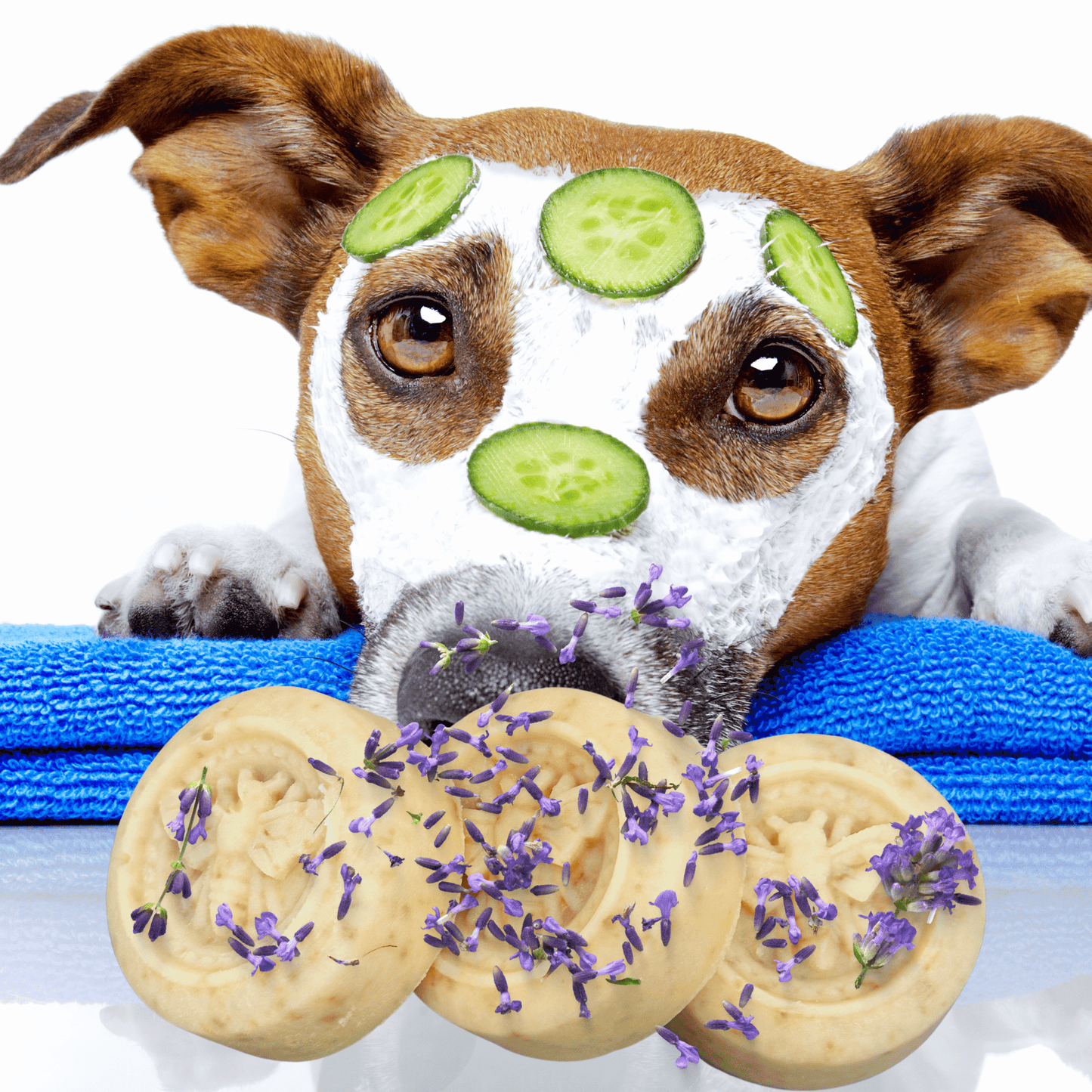 Milk Oatmeal & Honey Fur Baby Natural Soap with Lavender Essential Oil