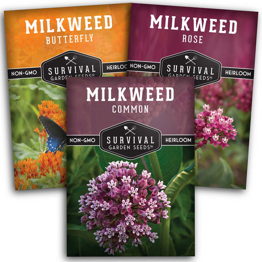 Milkweed Seed Collection – Common, Butterfly, and Rose Milkweed for Monarch Support