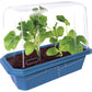Mini Melons Sprouter Terrarium