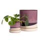 Burgundy Ceramic Plant Pot and Saucer