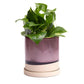Burgundy Ceramic Plant Pot and Saucer