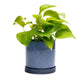Cosmos Blue 3" Ceramic Plant Pot and Saucer