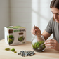 MossBowl- Grow Your Own Beautiful Moss Garden, Complete Kit Come with 3 Mosses!