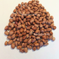 25 DWARF HORTICULTURE BEAN Taylor Long French Phaseolus Vulgaris Vegetable Seeds