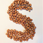 25 DWARF HORTICULTURE BEAN Taylor Long French Phaseolus Vulgaris Vegetable Seeds