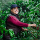 Honduras Monte Fresco Parainema Washed – Medium Roast Specialty Coffee