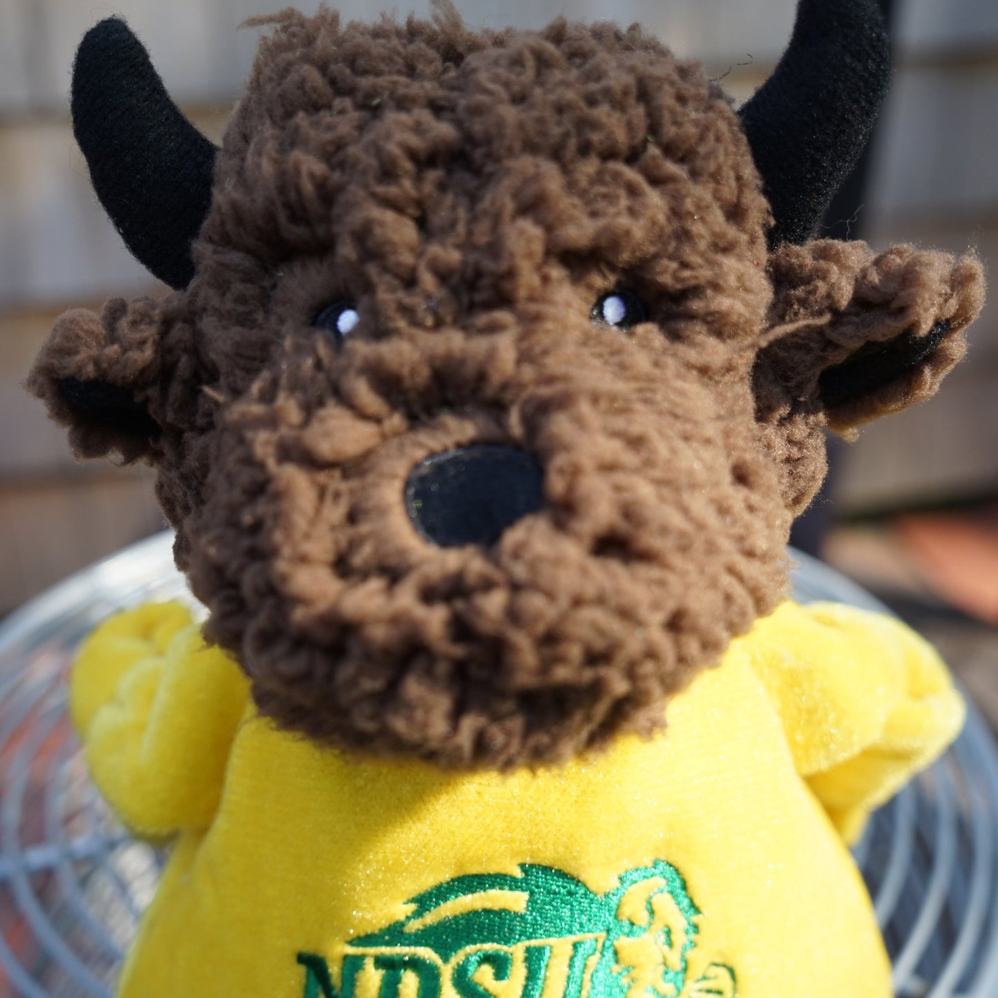 NCAA North Dakota State University, Thundar The Bison Knottie® Plush Dog Toy