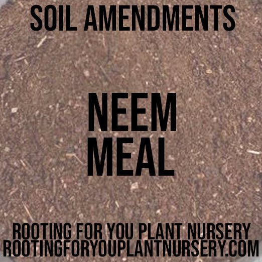Neem Cake Neem Meal Soil Amendment