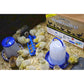 Double-Tuf Beginner Poultry Starter Kit with Heat Lamp Feeder & Waterer