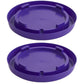 Little Giant 1-Gallon Plastic Nesting-Style Poultry Waterer Base, Purple 2-Pack