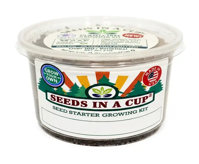 Caraway Grow Kit | Grow Fresh Caraway from Seed | Seeds In A Cup®