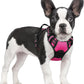 No Pull Dog Harness Reflective Adjustable Oxford Vest Dogs Control (All Sizes)