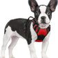 No Pull Dog Harness Reflective Adjustable Oxford Vest Dogs Control (All Sizes)