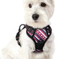 No Pull Dog Harness Reflective Adjustable Oxford Vest Dogs Control (All Sizes)