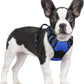 No Pull Dog Harness Reflective Adjustable Oxford Vest Dogs Control (All Sizes)