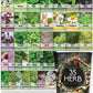 Popular Herb Seeds for Planting | 35 Variety Pack