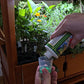 Plant Nutrients (Fox Farm Grow Big NPK 6-4-4)