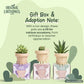 Frankie: Sitting Plant Pot