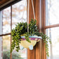 Rosie: UFO Hanging Plant Pot