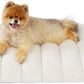 Orthopedic Dog Bed for Large Dogs | Waterproof Plush Mat w/ Washable Cover