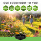 Pollinator Flower Seed Collection - Wildflower Mixes for Bees, Butterflies & Hummingbirds
