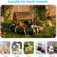 Outdoor Cat Enclosure with 134" Tunnel, XL Pop-Up Cat Tent & Playpen