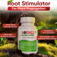 Hormex Rooting Powder #1 (0.10 IBA) - Rooting Hormone for Delicate Houseplants, Garden Herbs & Succulent Cuttings