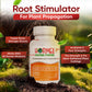 Hormex Rooting Powder #3 (0.30 IBA) - Rooting Hormone for Common Home & Garden Plant Cuttings